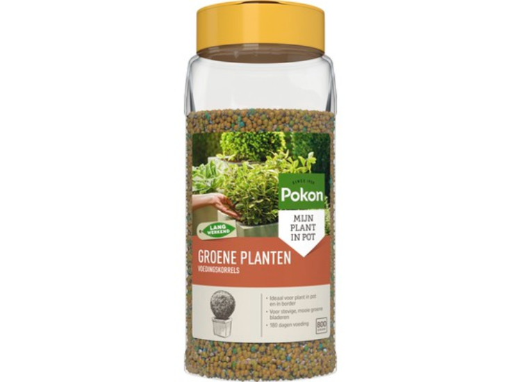 Pokon Voedingskorrels voor Groene Planten - 800gr - 180 dagen voeding - Plantenvoeding afbeelding