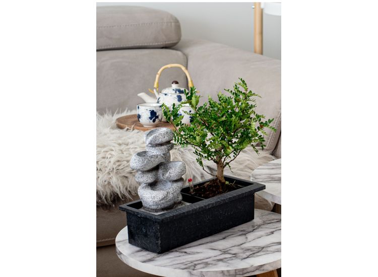 Bonsai met waterval 'Stones' afbeelding