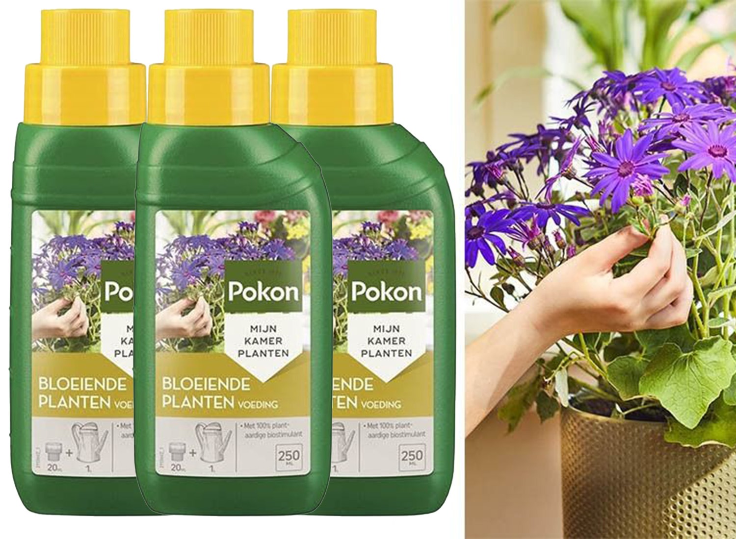 Deal Donkey - 3X Pokon Bloeiende Planten Voeding 250Ml