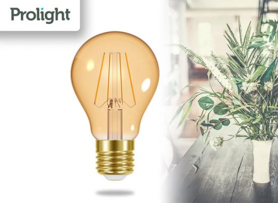 Prolight Led light Classic lumen 310 E27