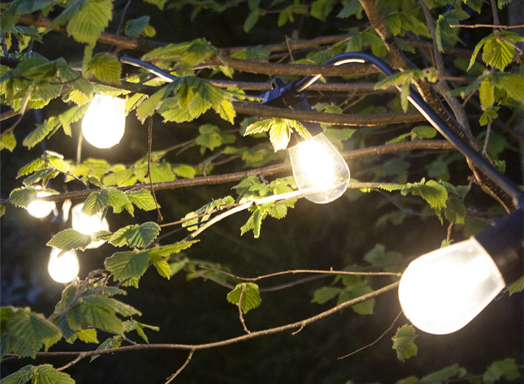 Dreamled Decoratieve verlichting - 10 LED lampen