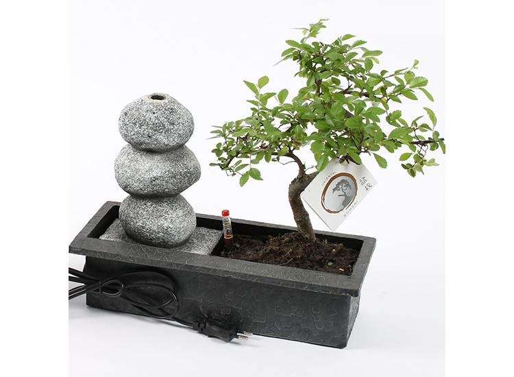 Bonsai Boompje Met Waterval Ornament Zenn Stenen