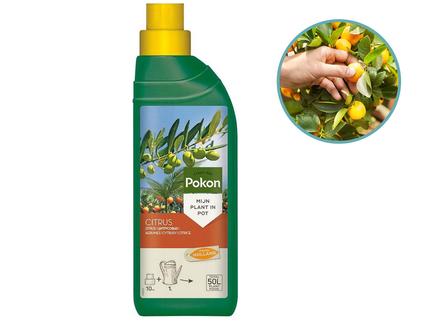 Pokon Citrus Planten Voeding - 250ml - Voor Citrus en Mediterrane planten afbeelding