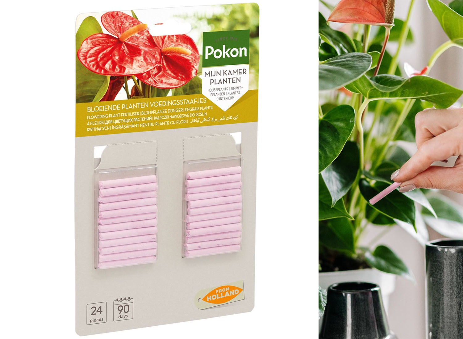 Pokon Bloeiende Planten Voedingsstaafjes - 24st - Plantenvoeding - Meststofstaafjes afbeelding