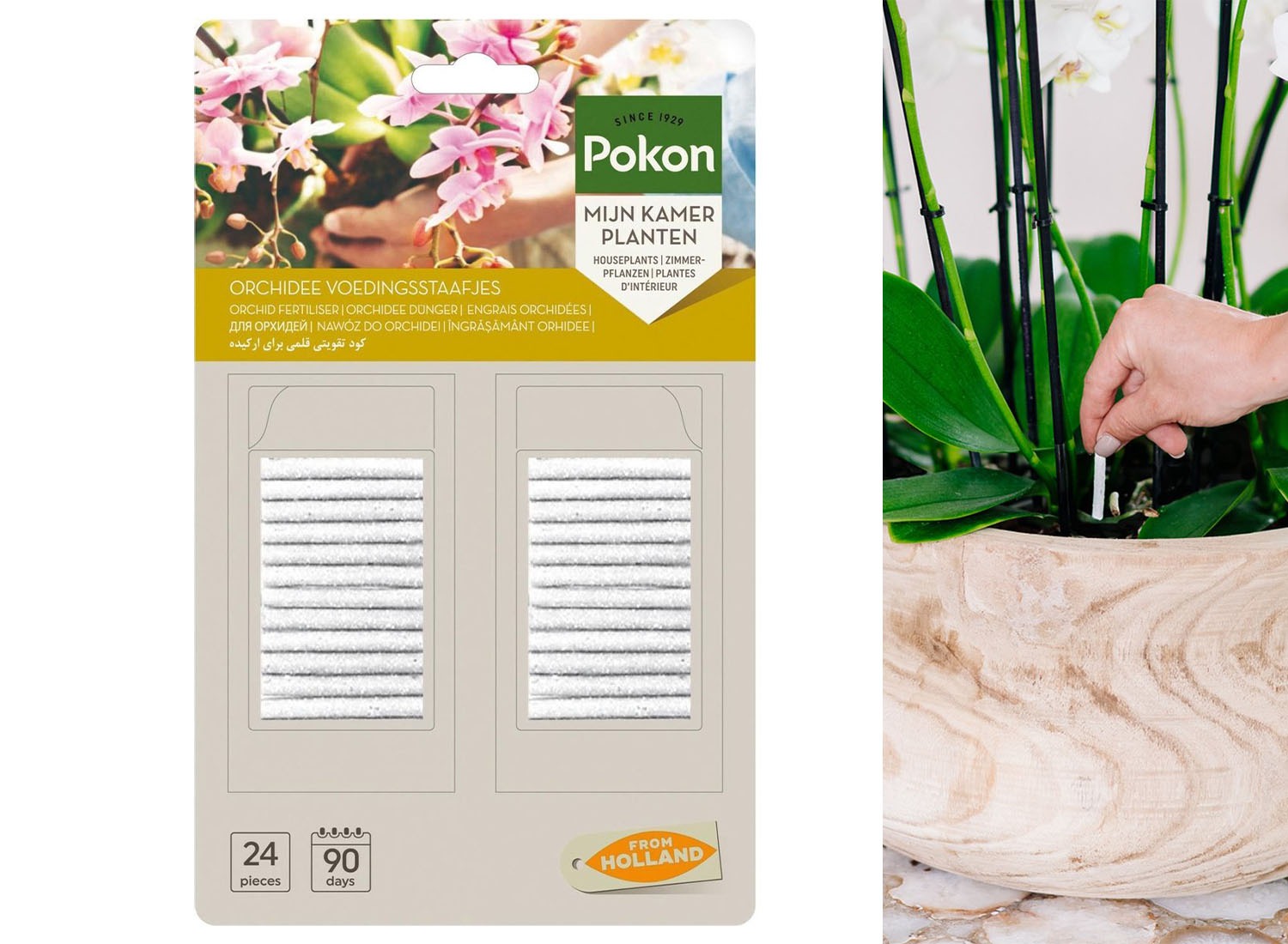 Pokon Orchidee Voedingsstaafjes - 24st - Plantenvoeding - Meststofstaafjes afbeelding