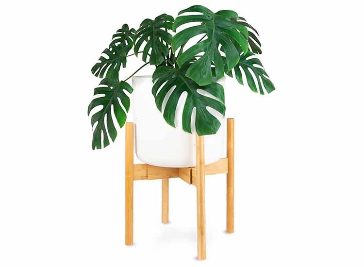 Planten Standaard - Uitschuifbare Bloempothouder
