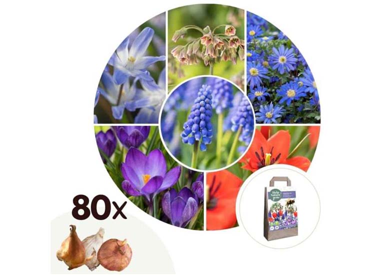 Happy Bee - Mix van 80 bollen